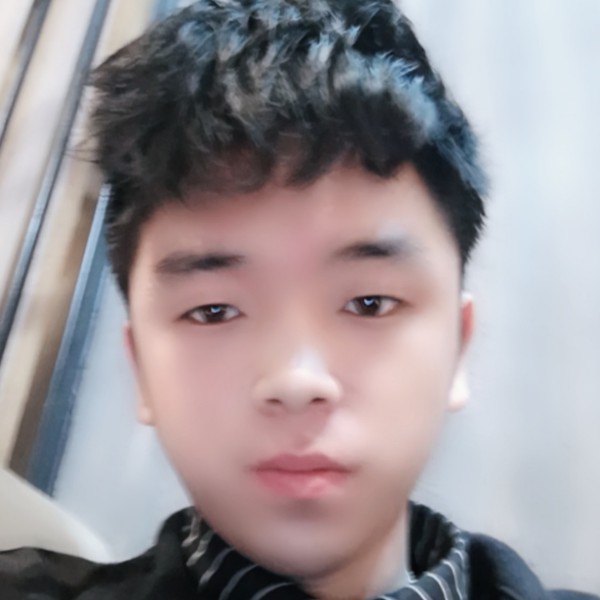 鸵鸟苦恋闪闪的照片