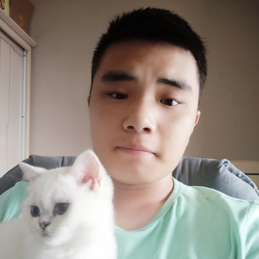篮球怕黑的照片