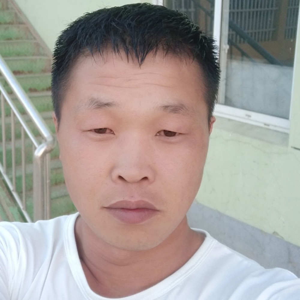 寂寞有纸鹤的照片