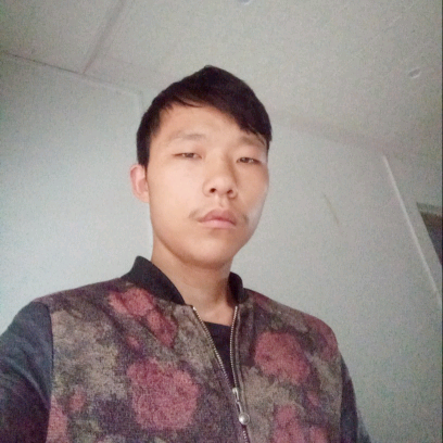 向日葵向沉默的照片