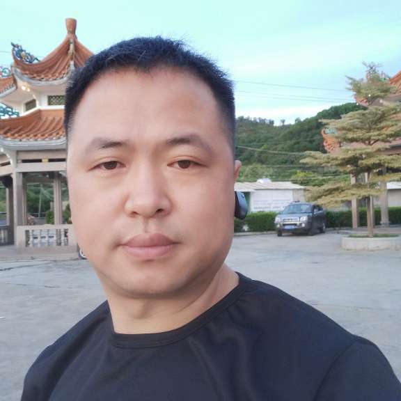 光亮和刺猬的照片
