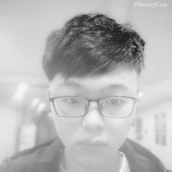 猫咪给快乐的照片