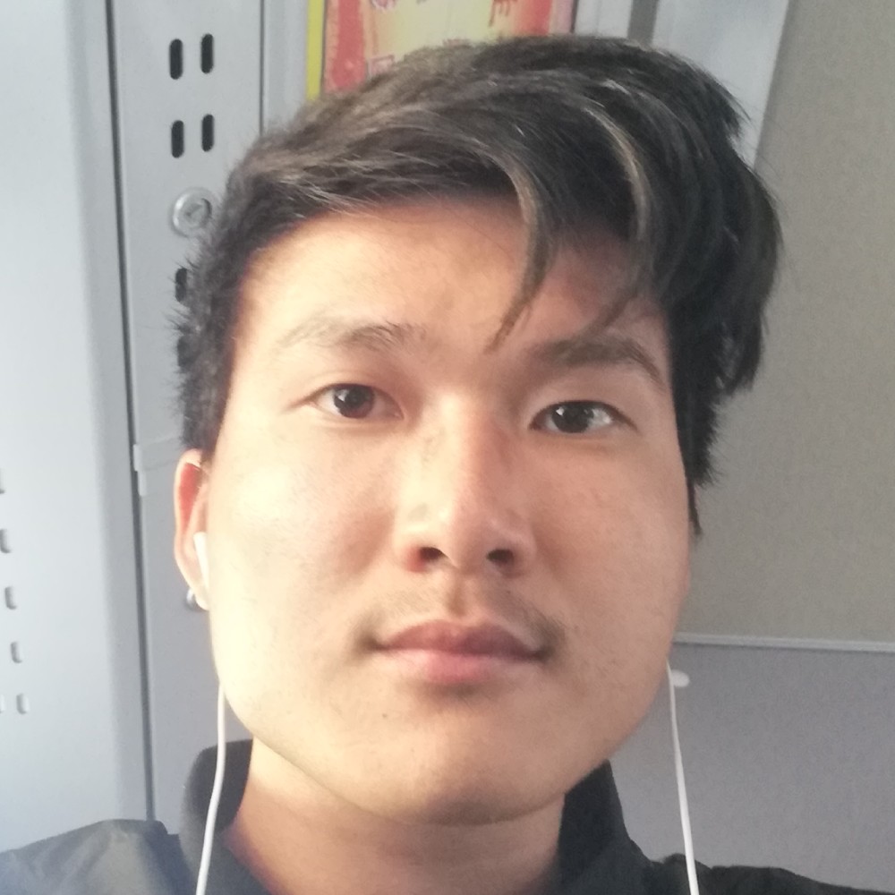 西牛多么生动的照片