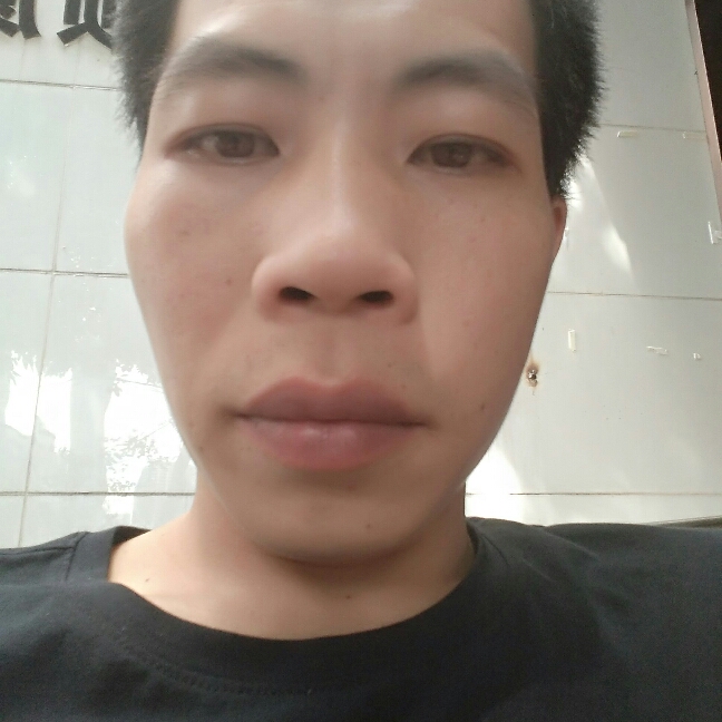 腼腆樱桃的照片