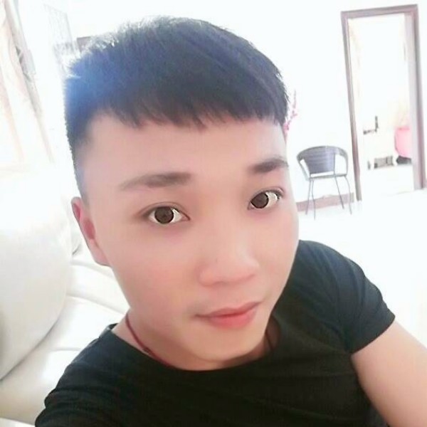 猫猫华仔的照片