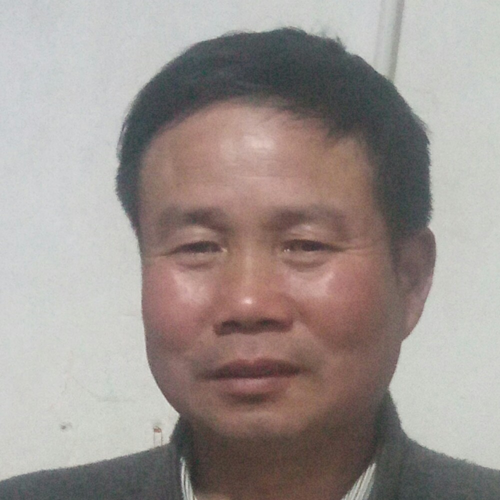 炙热爱恋小鸭子的照片