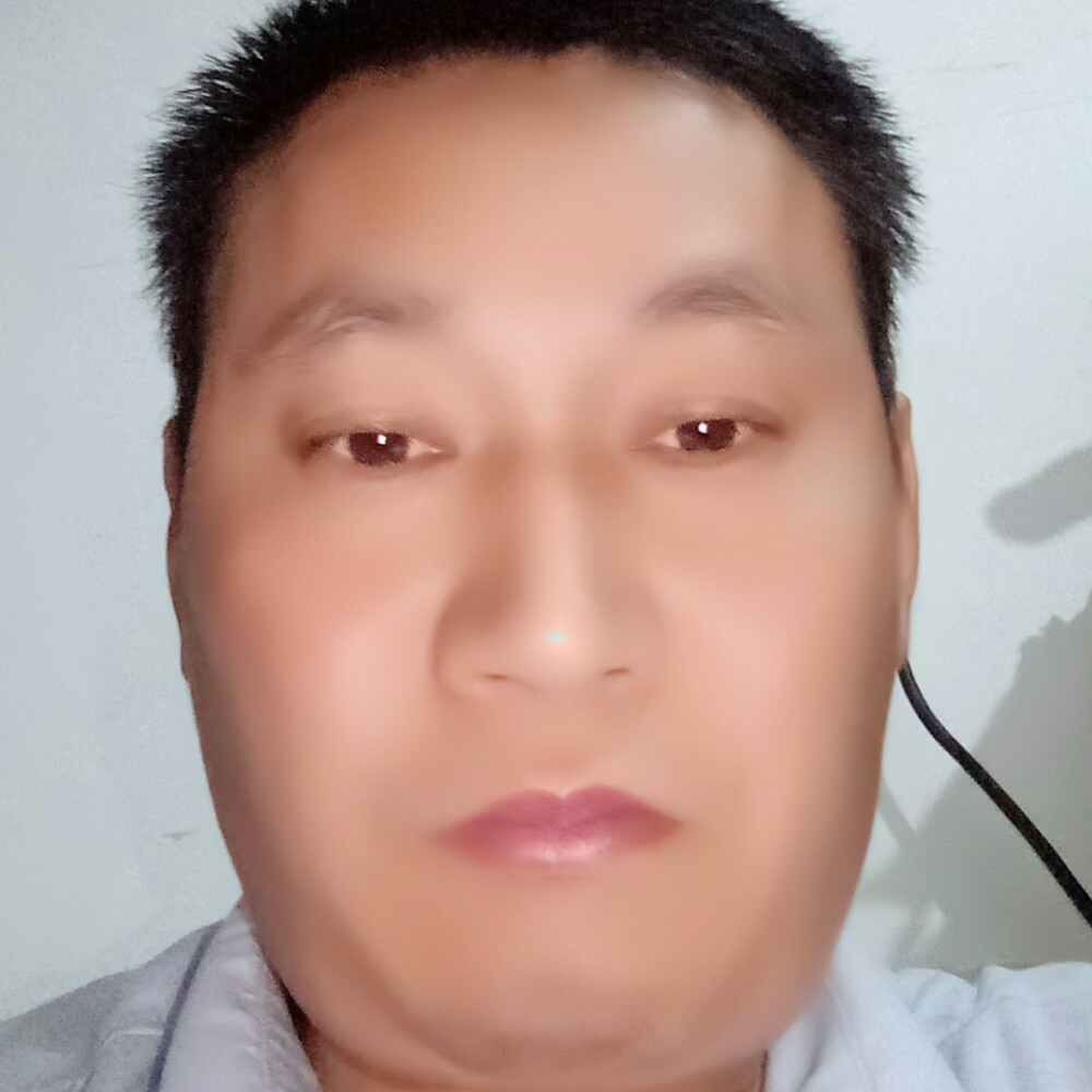 白猫缥缈的照片
