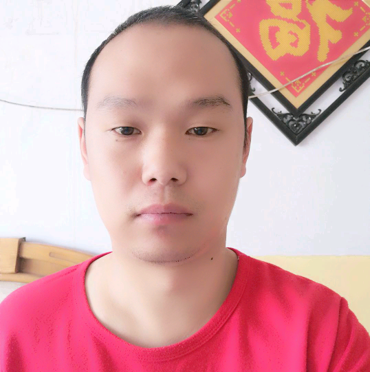蛋挞向独寂的照片