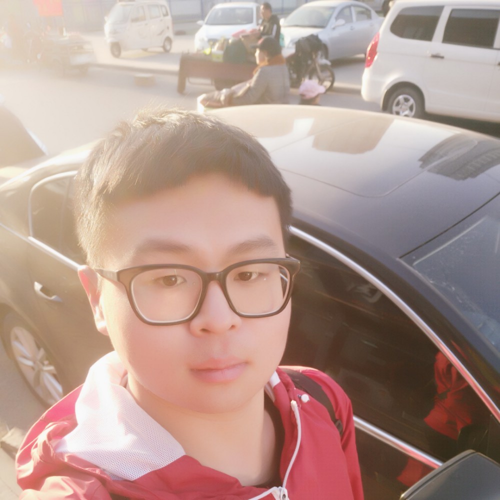 找音乐的小企鹅的照片
