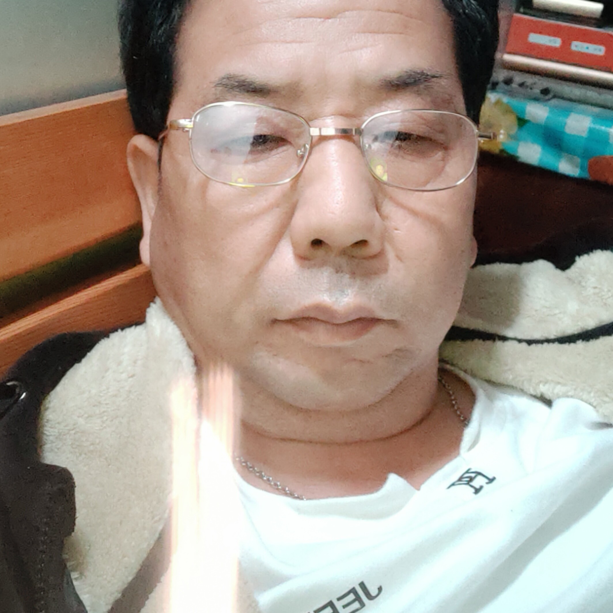 无可取代的迎风趣的照片