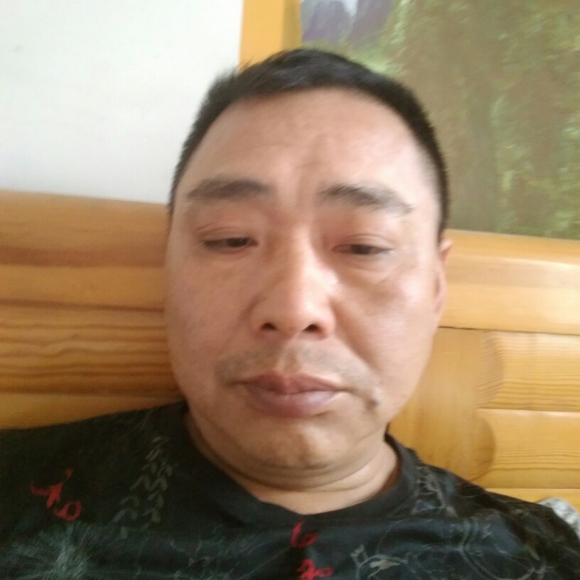 自由就小海豚的照片