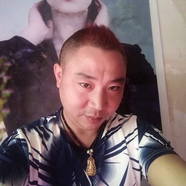 黄豆用端庄的照片