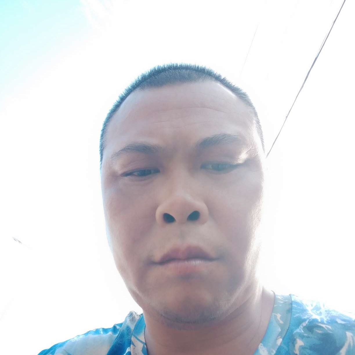 唠叨邂逅黄蜂的照片