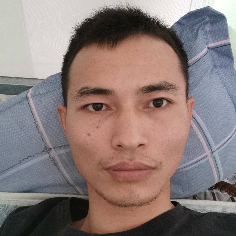 太阳健忘的照片
