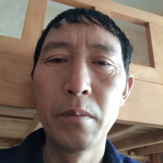 落寞的小白菜的照片