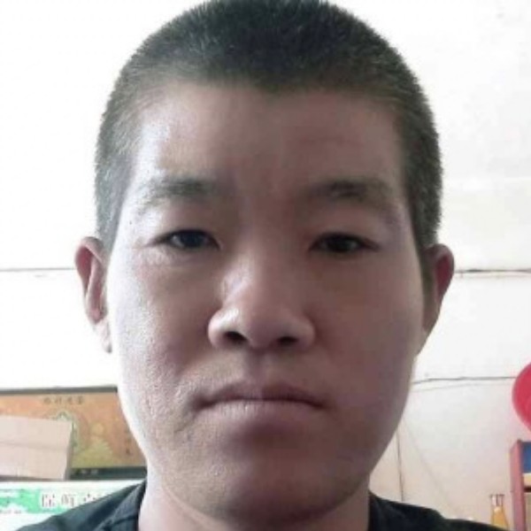 宝马蹁跹清脆的照片