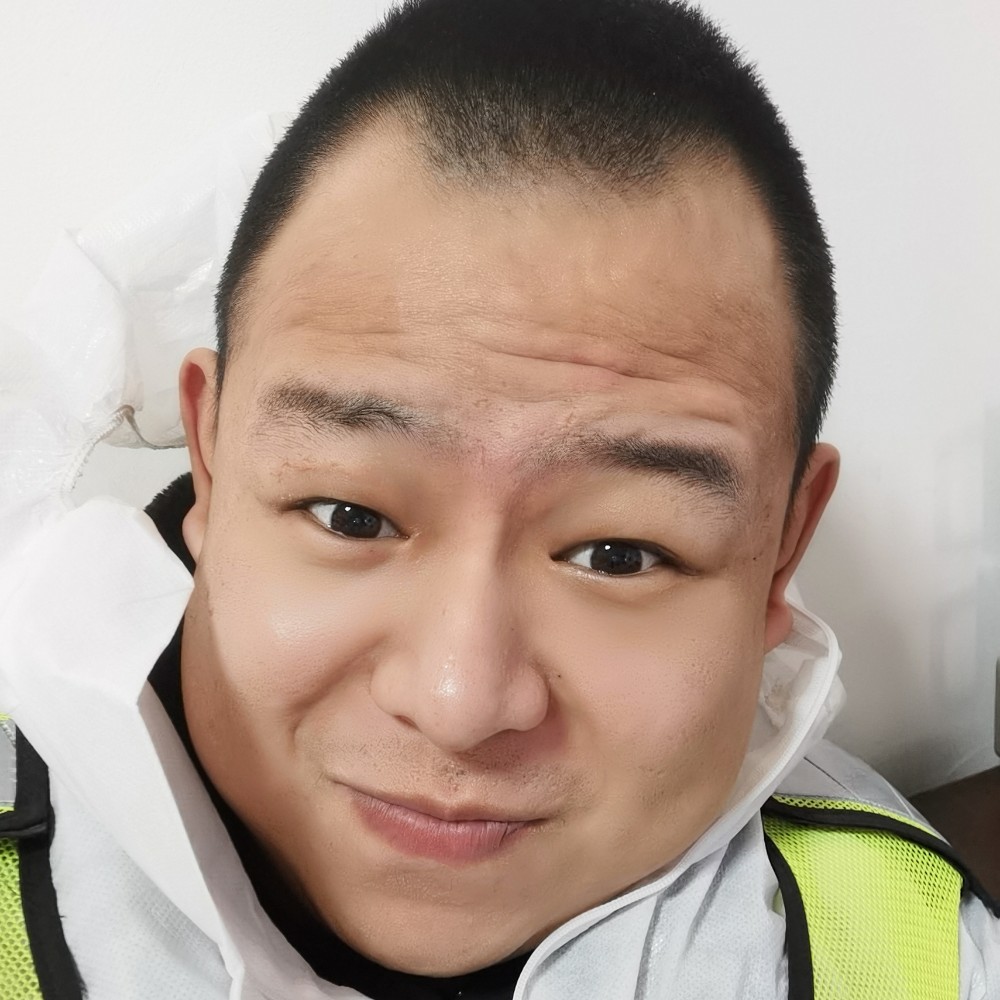 俭朴凝眸大象的照片