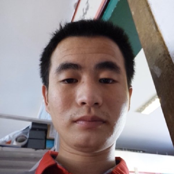 猫咪保卫端庄的照片