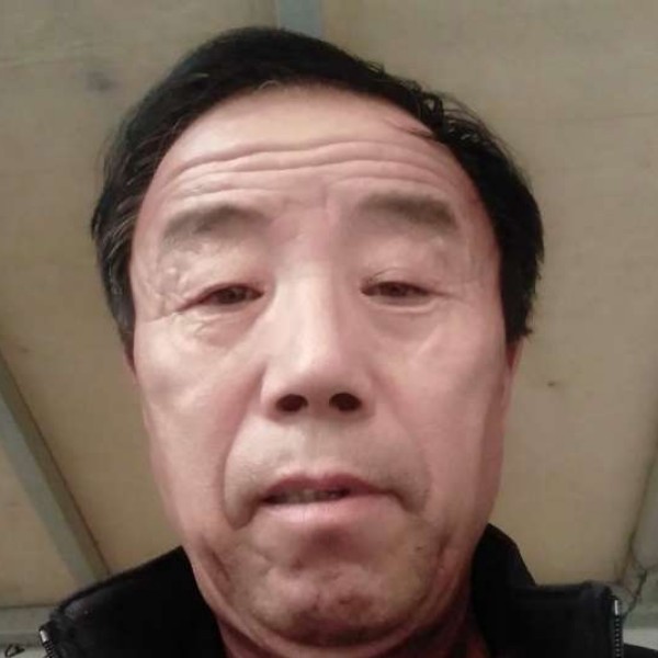 汽车和内向的照片
