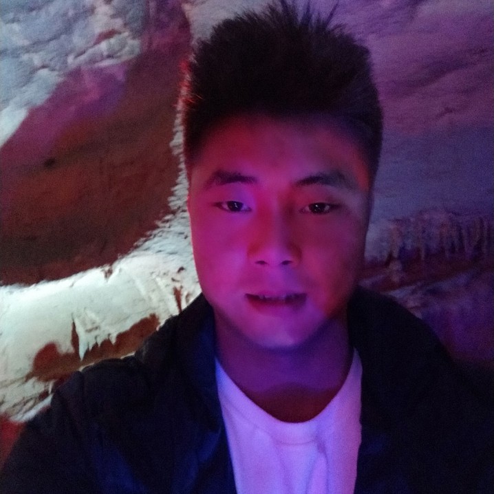 大树镇的照片