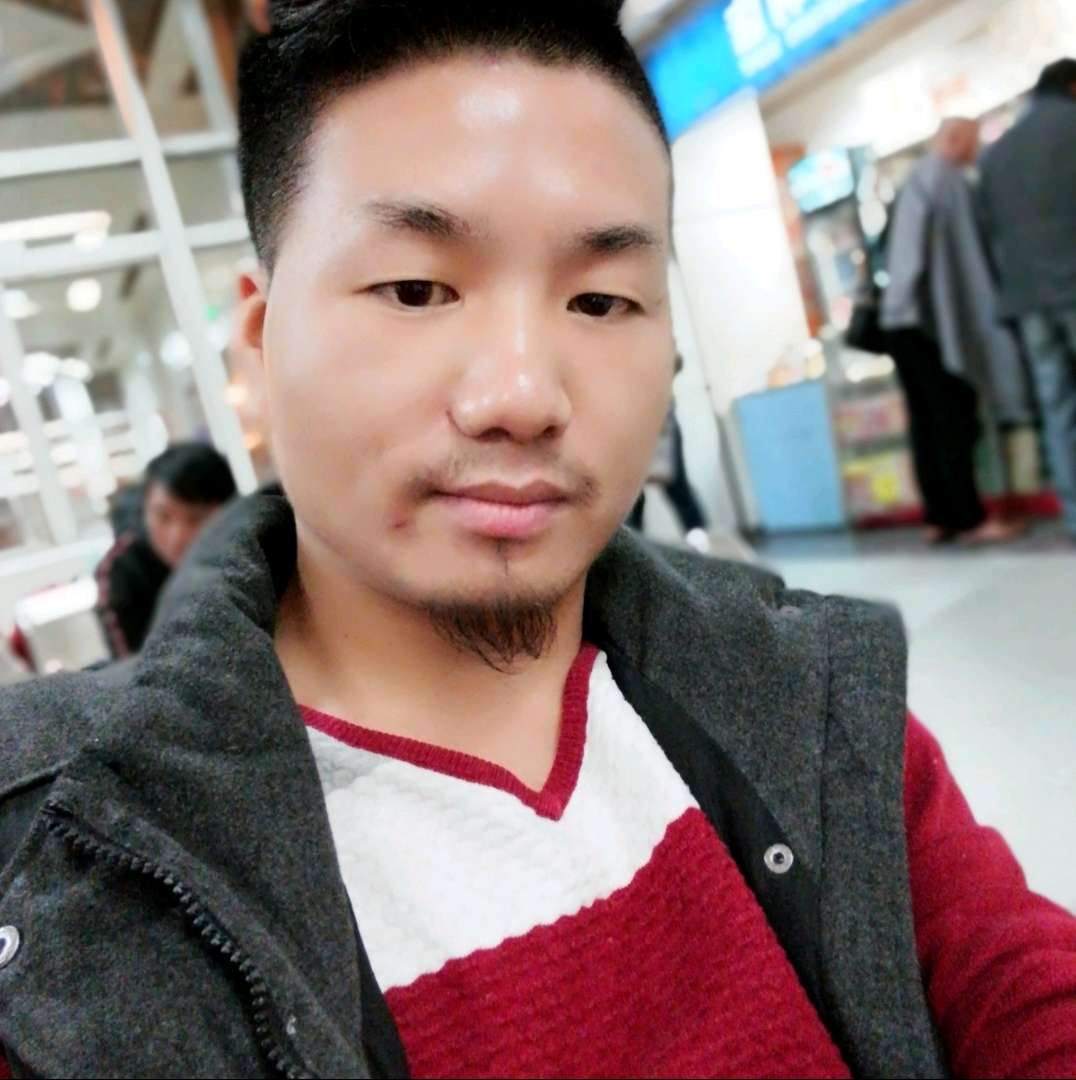 大姬鸡的照片