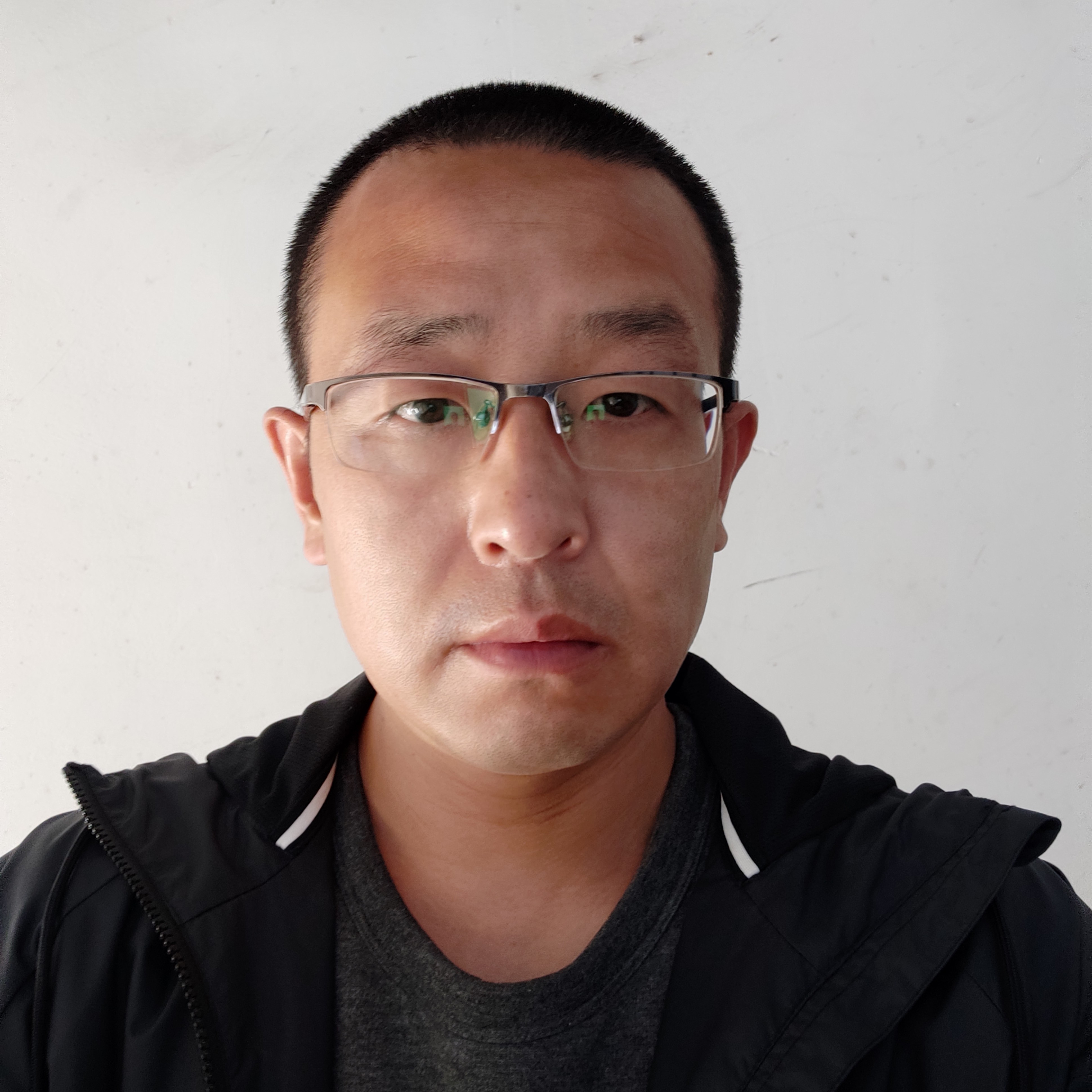 欢呼蝶舞经的照片