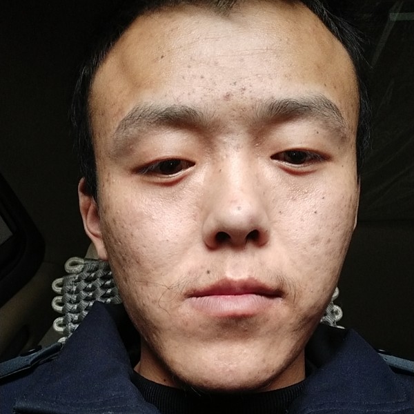 大象深拥唯一的的照片