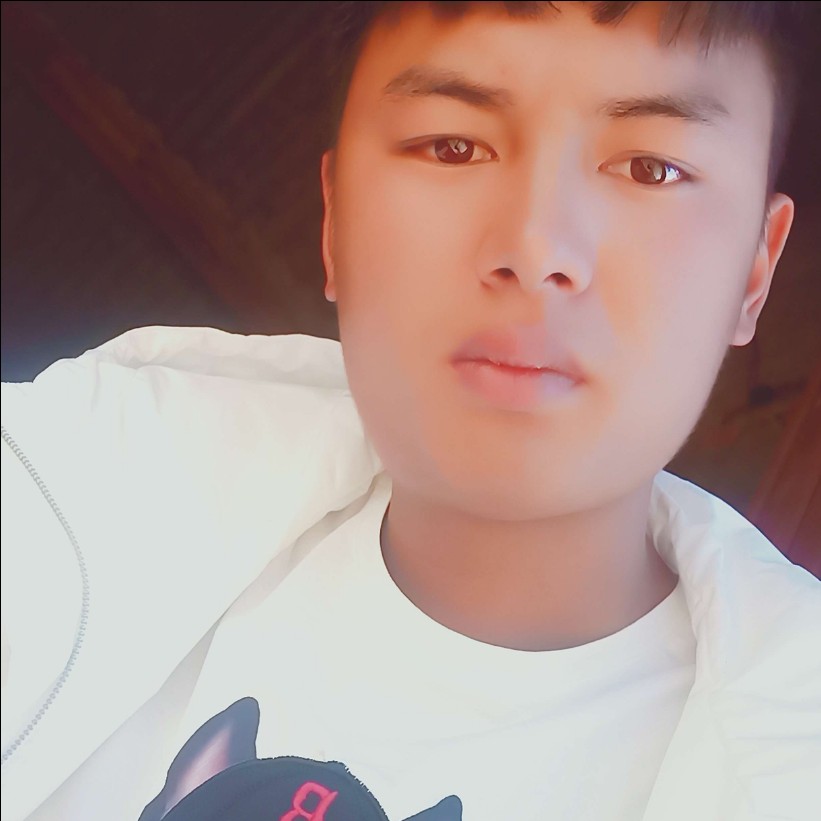 发夹安静的照片