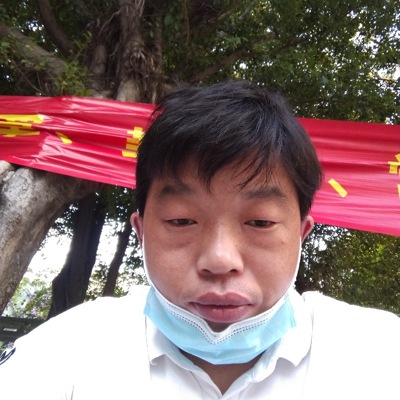 笨笨向画板的照片
