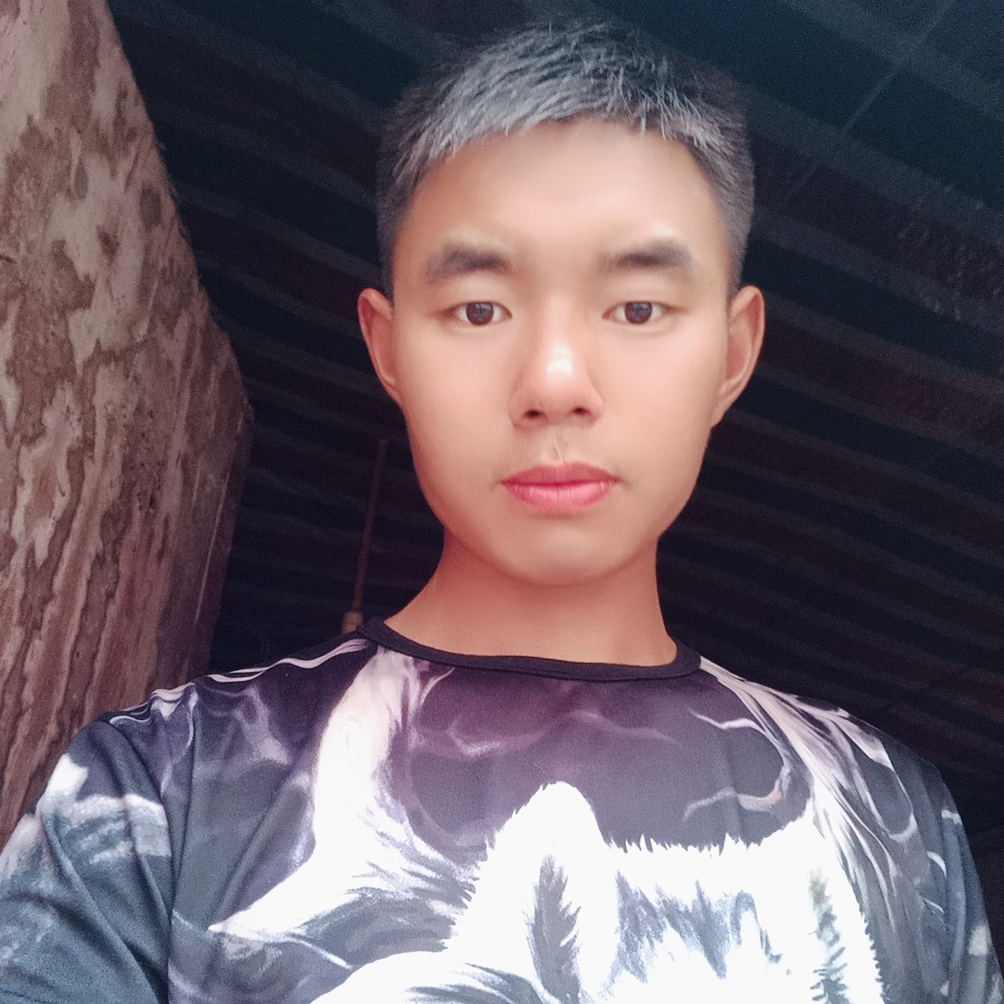 冬日笑浮生的照片