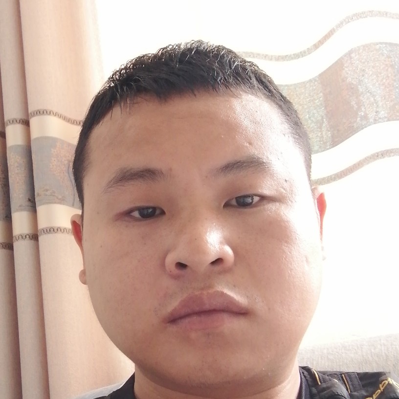 刺猬向安静的照片