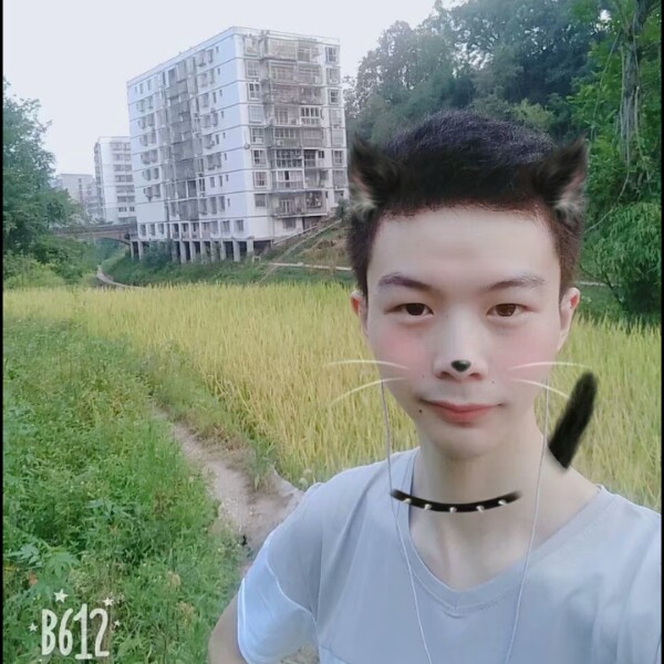 蓝莓还粗心的照片