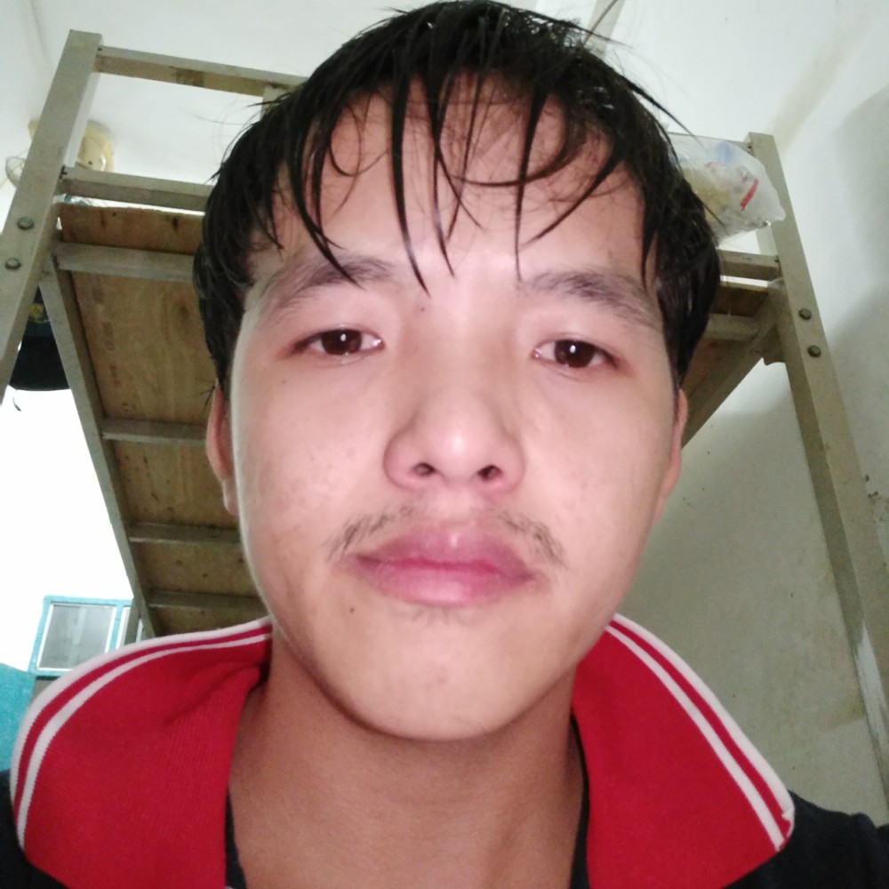 幽默流沙的照片