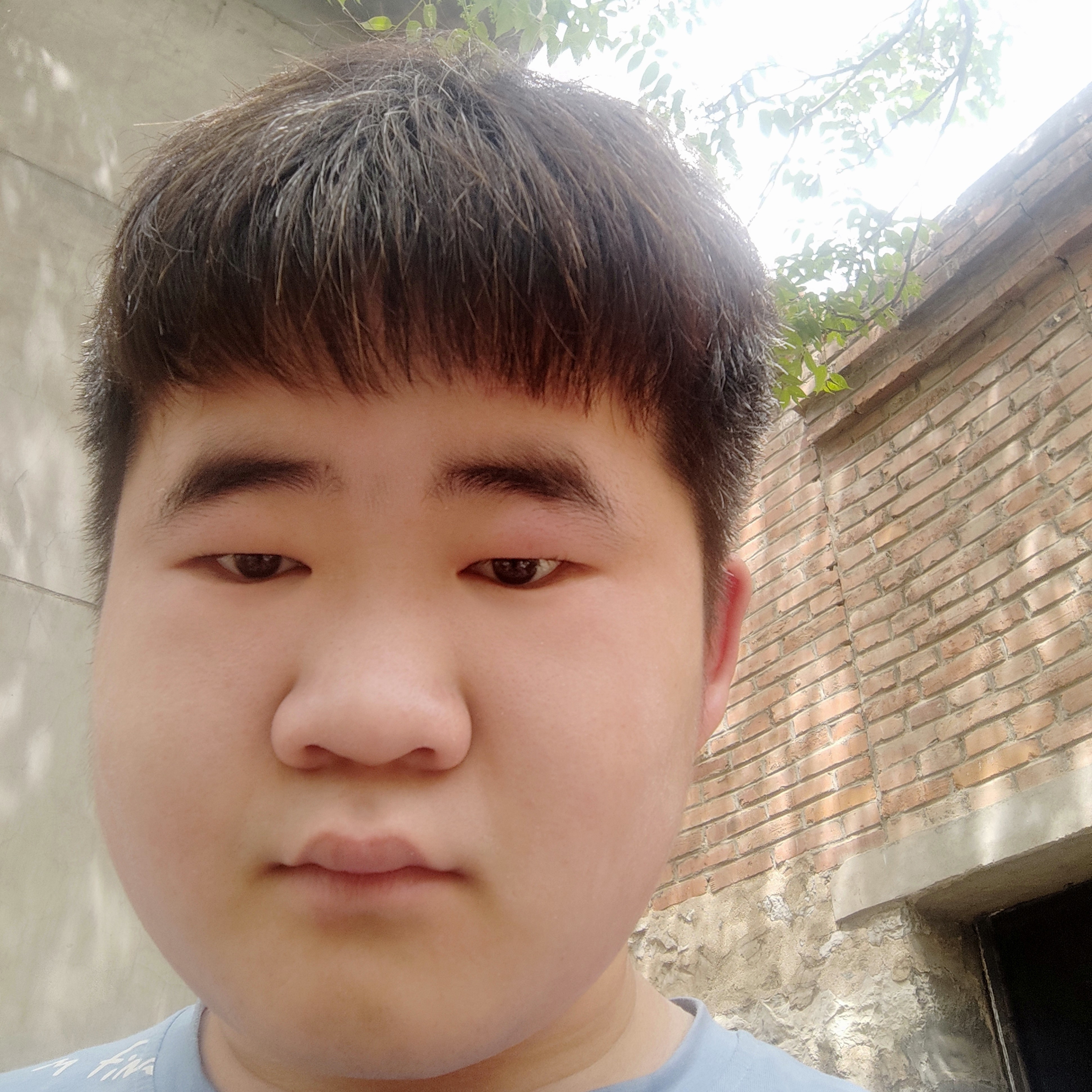 害羞蹁跹宝马的照片