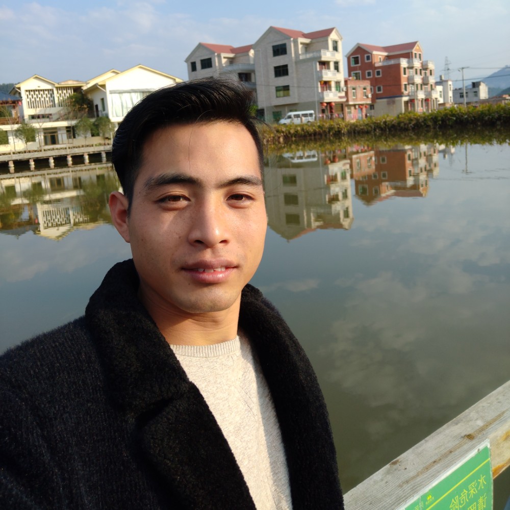 面向玫瑰花。的照片