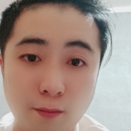 灰狼危机的照片