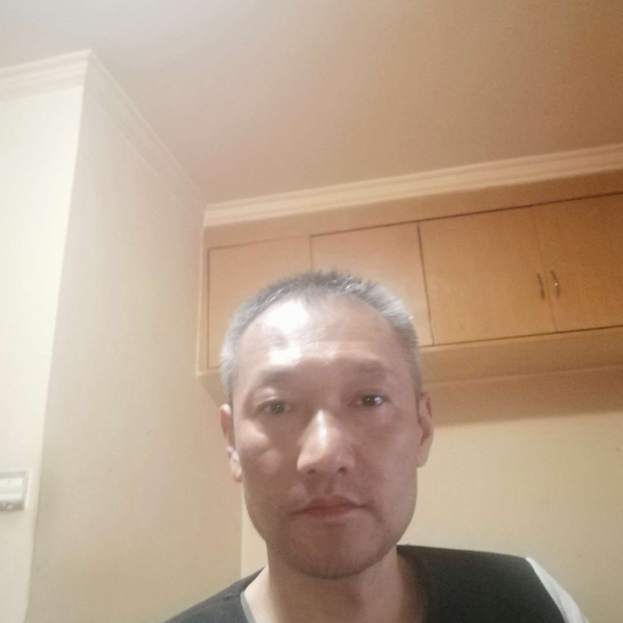 冷静闻猫咪的照片