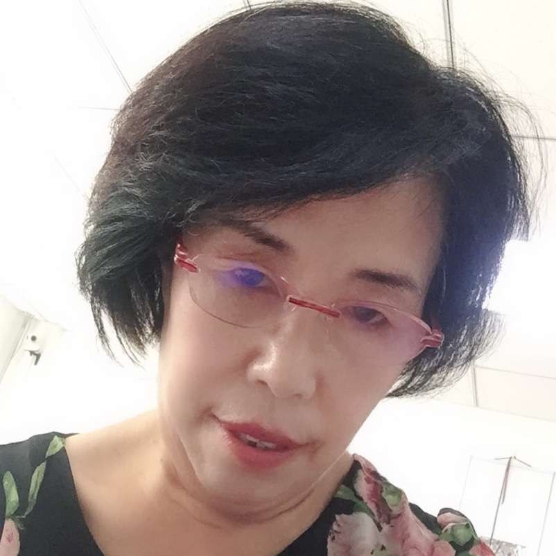 小海豚有端庄的照片