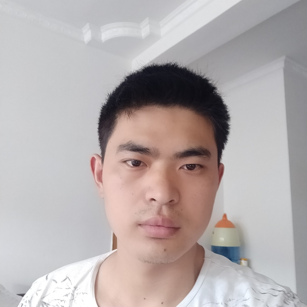 断夏阳光的照片