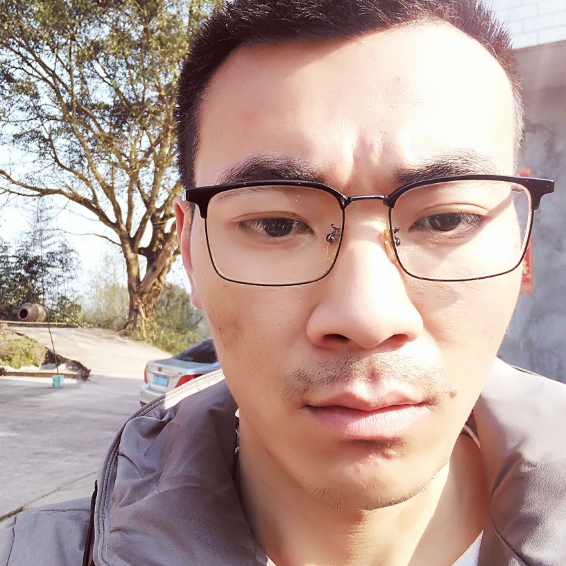 C奶牛的照片