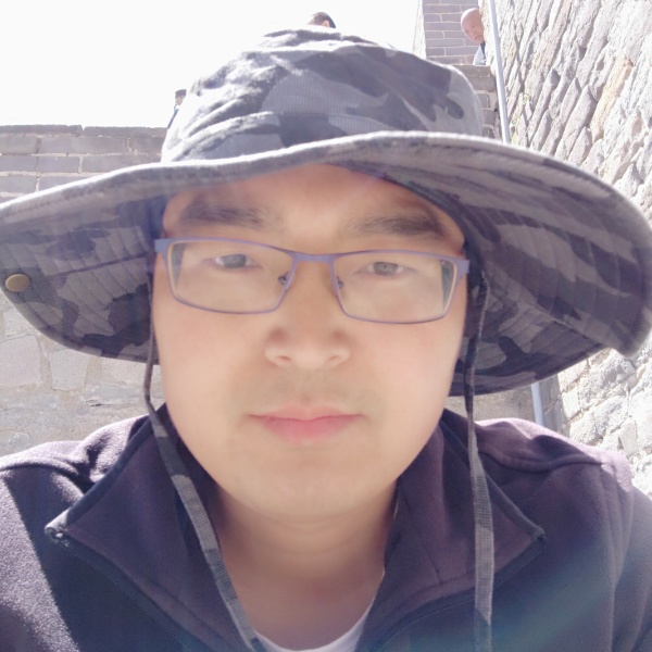 海燕简单的照片