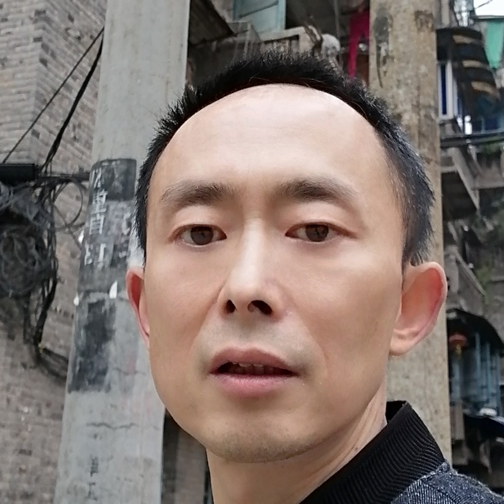 彩色奇异果的照片