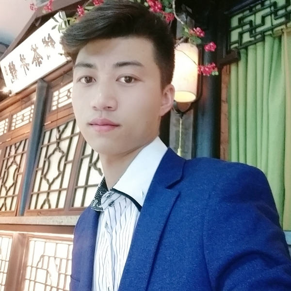 小天鹅朴素的照片