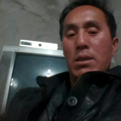 真心，真城就可以的照片