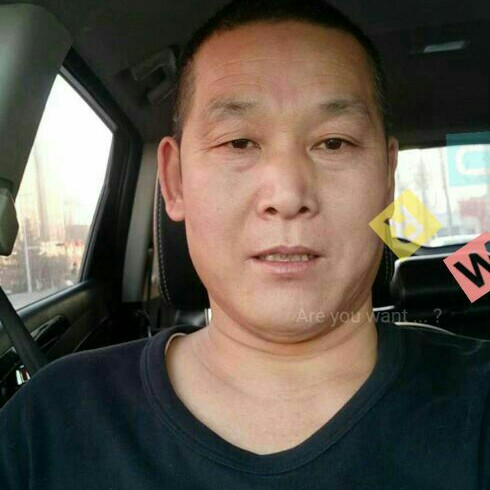 人生这个谜的照片