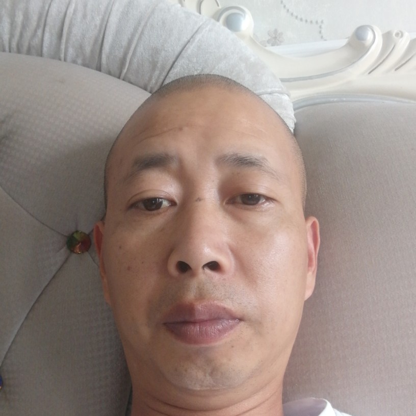 wj寻爱的照片