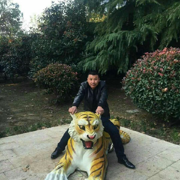 单身，自由人的照片