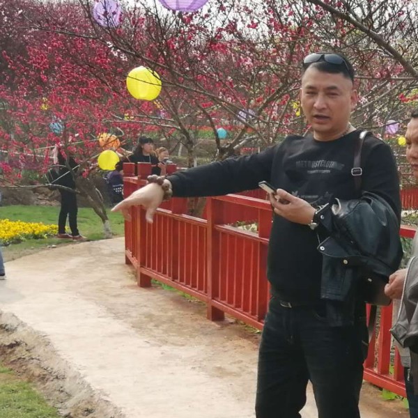 光亮挽手泥猴桃的照片