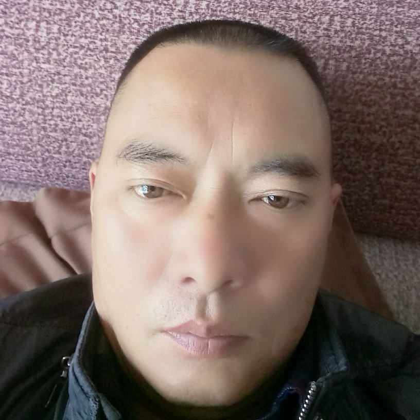 荷花改变踏实的照片