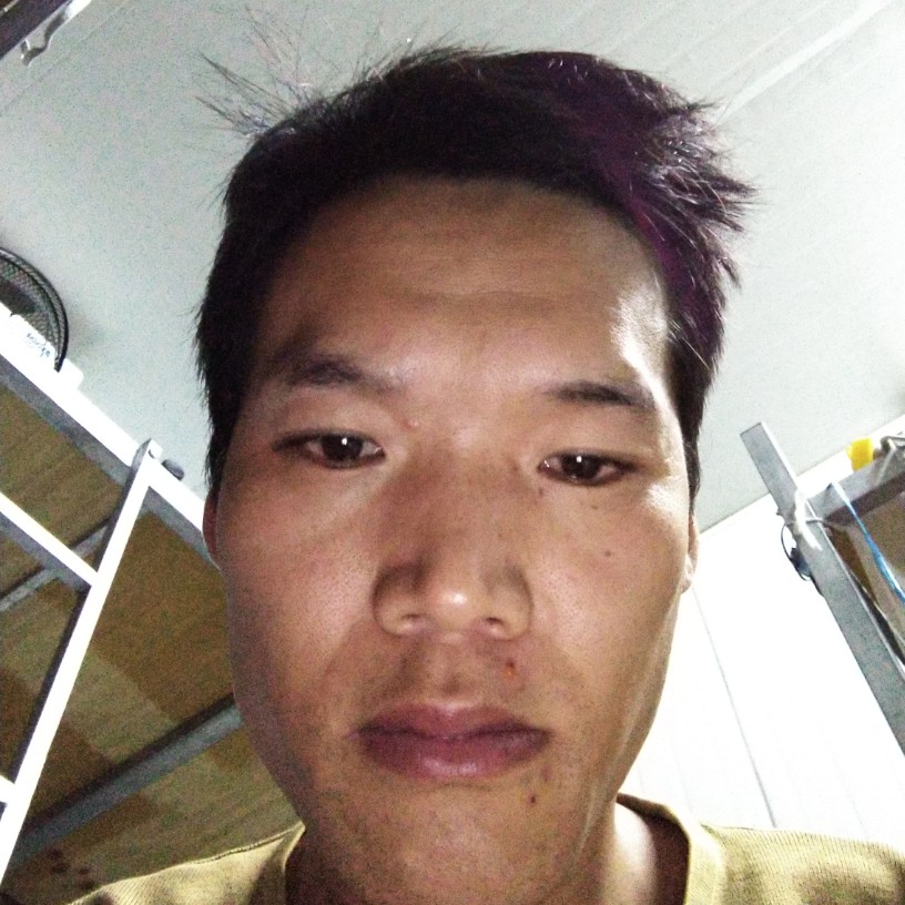 小海豚等待简单的照片